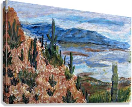 Desert Canvas Print