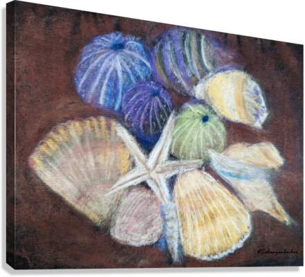 Sea Shells Canvas Print