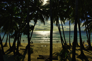 Boracay Sun Through Palms