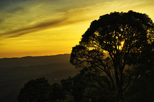 Golden Awakening – Tagaytay Highlands Philippines