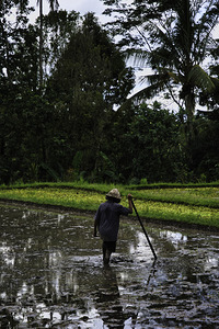 Keeper of the Fields – Ubud Bali