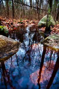 Echoes of Minuteman Trail