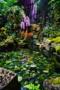 Sanctuary of Still Waters Singapore Botanic Gardens by AM Productions