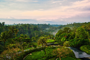 Morning Serenity at Padma Resort Ubud by AM Productions