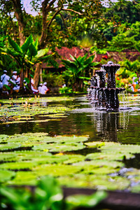 Tranquil Fountain — Bali Gardens