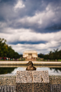 Monument Watcher Washington