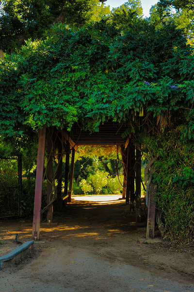 Garden Passage – Redlands California by AM Productions