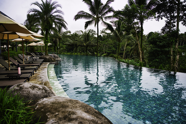 Tropical Serenity by AM Productions
