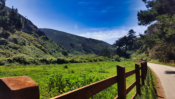 Morning Calm Along the Pacific Trail by AM Productions