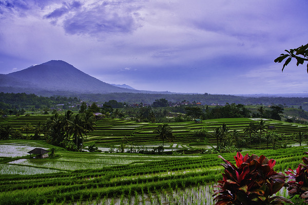 The Sacred Horizon – Jatiluwih Bali by AM Productions