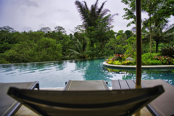 Infinity Perch – Ubud Jungle Pool by AM Productions