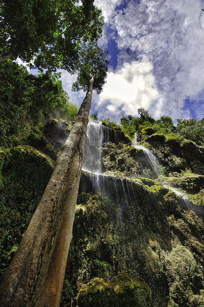 Vertical Horizon – Waterfall Canopy Cebu Philippines Print