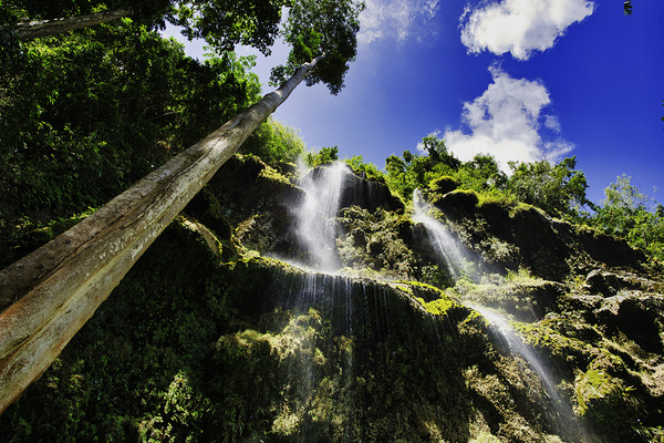 Jungle Veil – Cebu Waterfall by AM Productions