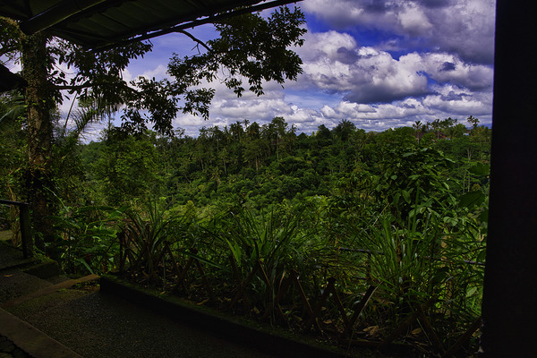 Bali Ubud Coffee Terrace View by AM Productions