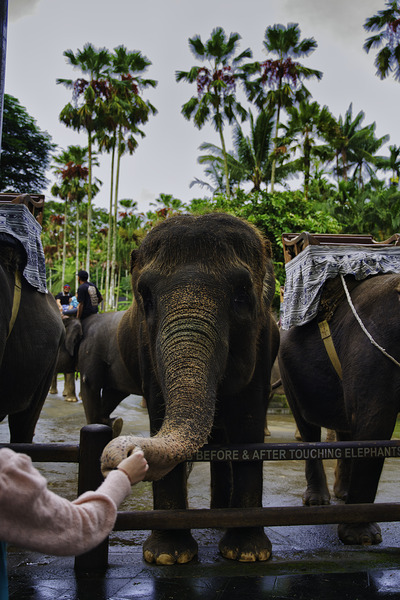 Touch of Trust Print