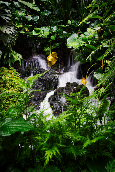 Whispers of the Falls Singapore Botanic Gardens by AM Productions