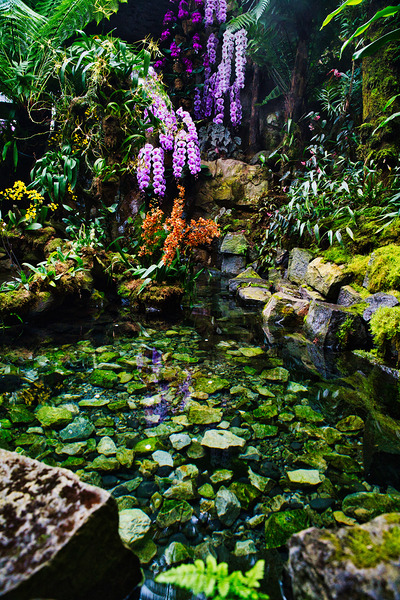 Sanctuary of Still Waters Singapore Botanic Gardens by AM Productions