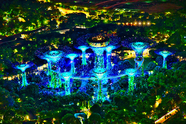 Supertree Symphony Singapore Print