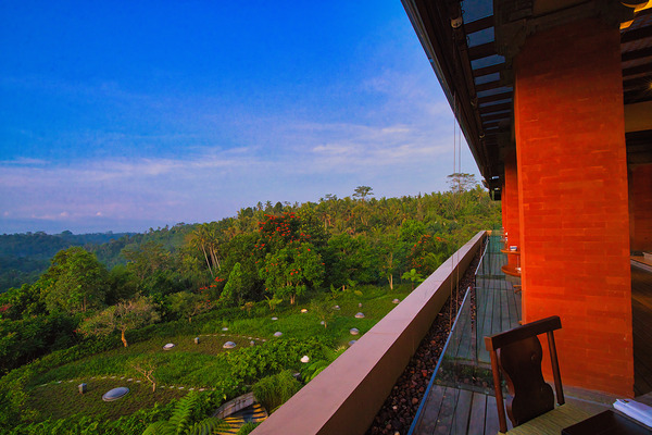 Morning Calm Ubud Valley by AM Productions