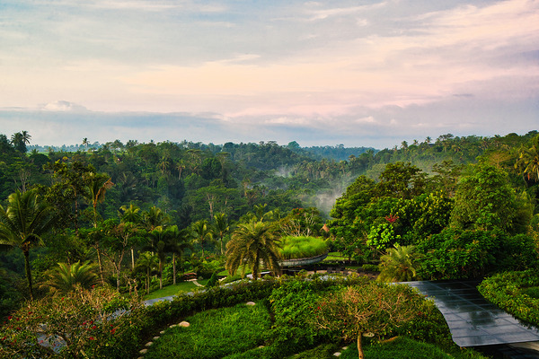 Morning Serenity at Padma Resort Ubud by AM Productions