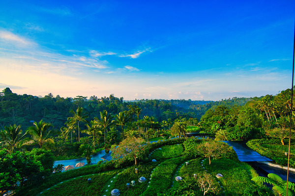 Padma Morning Vista by AM Productions