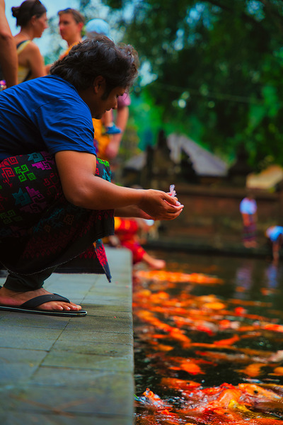 Bali Feeding Fish – Tirta Empul Temple Indonesia Print