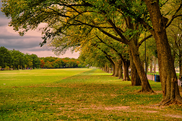 Autumn Line – National Mall by AM Productions