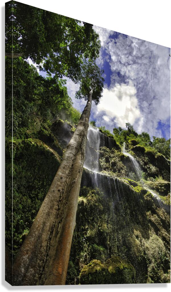 Vertical Horizon – Waterfall Canopy Cebu Philippines Canvas Print