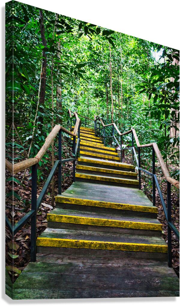 Path Through the Green Singapore Canvas Print