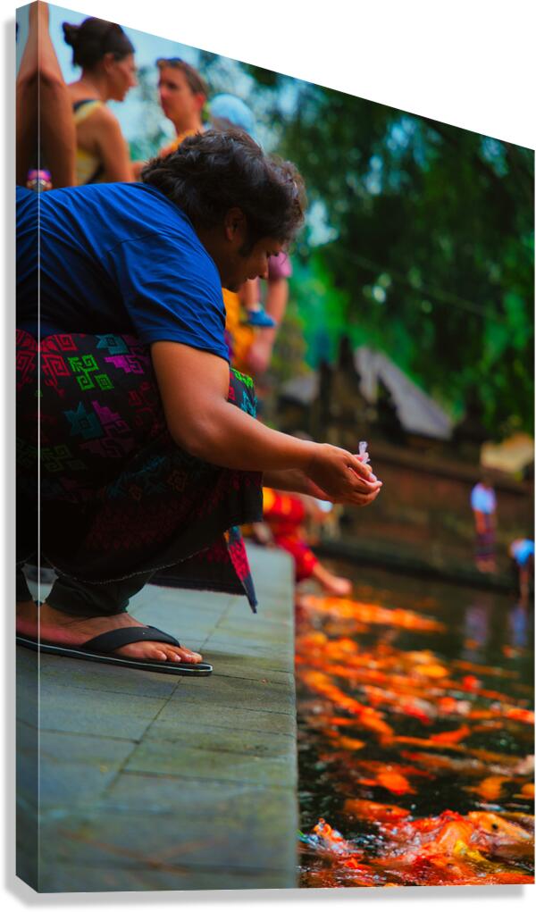 Bali Feeding Fish – Tirta Empul Temple Indonesia Canvas Print