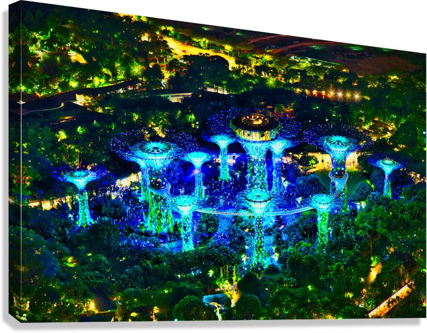 Supertree Symphony Singapore Canvas Print