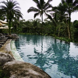 Tropical Serenity