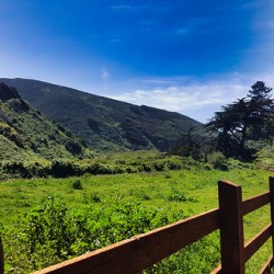 Morning Calm Along the Pacific Trail