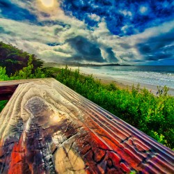 After the Storm. Carmel Coast