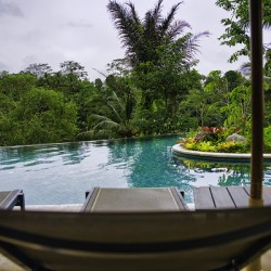 Infinity Perch – Ubud Jungle Pool