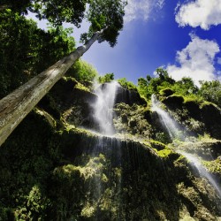 Jungle Veil – Cebu Waterfall