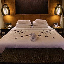 Padman Hotel – Junior Suite Elegance