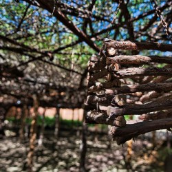Hanging Timber – Desert Arbor