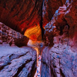 Fire Within the Canyon