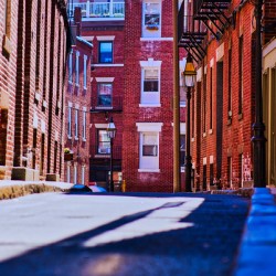 Stillness Between the Bricks