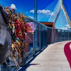 Echoes Along the Bridge