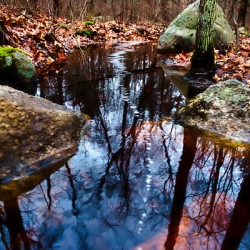 Echoes of Minuteman Trail