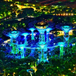 Supertree Symphony Singapore