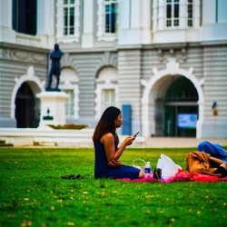 Singapore Lawn Break