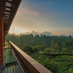 Padma Breakfast View