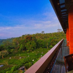 Morning Calm Ubud Valley
