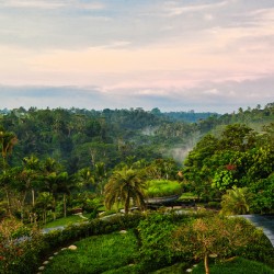 Morning Serenity at Padma Resort Ubud