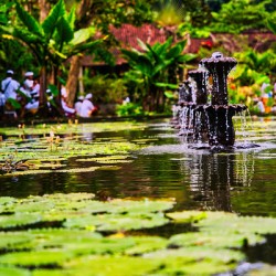 Tranquil Fountain — Bali Gardens