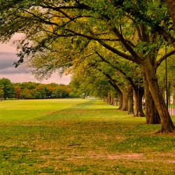 Autumn Line – National Mall