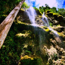 Waterfall Ascent Cebu”